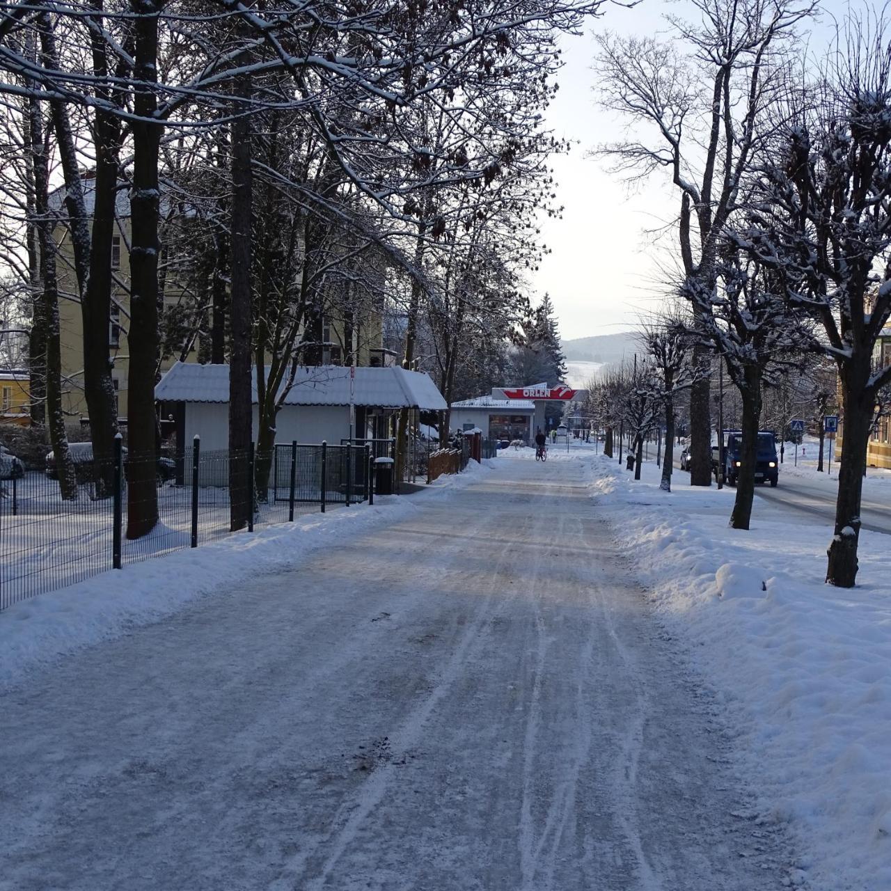 Willa Zuzanna Kudowa-Zdrój Exteriör bild
